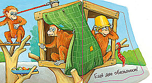 Kukuku! Kto w zoo? Książka-zagadka