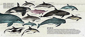 World of Seas
