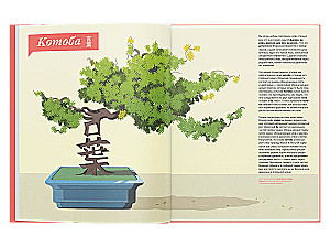 Journey of Words