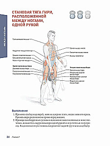 Анатомия силовых тренировок с гирями