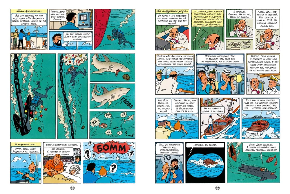 Sharks of the Red Sea