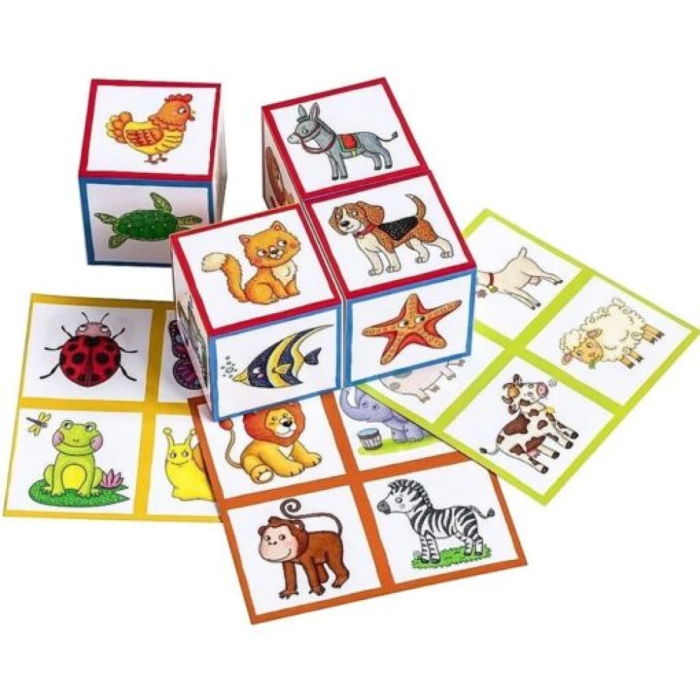 Smart cubes in a tray. 4 pieces. Who lives where
