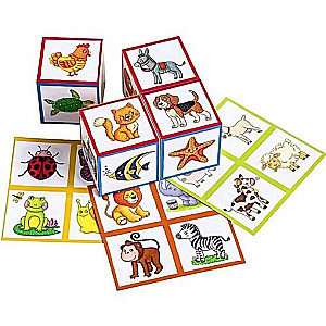 Smart cubes in a tray. 4 pieces. Who lives where