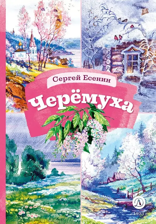 Czeremcha