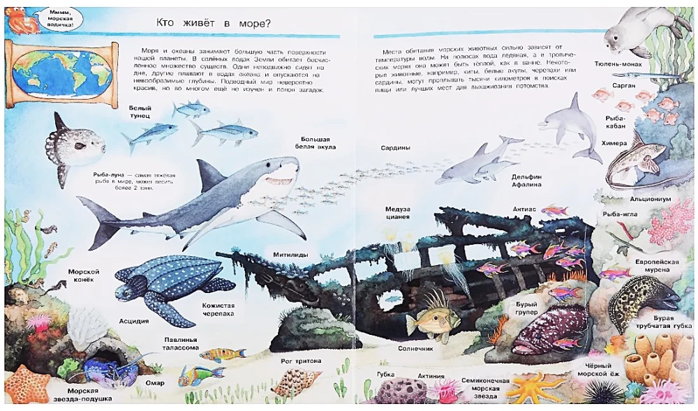 What? Why? How? The World of Marine Animals. With Magical Windows