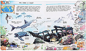 What? Why? How? The World of Marine Animals. With Magical Windows
