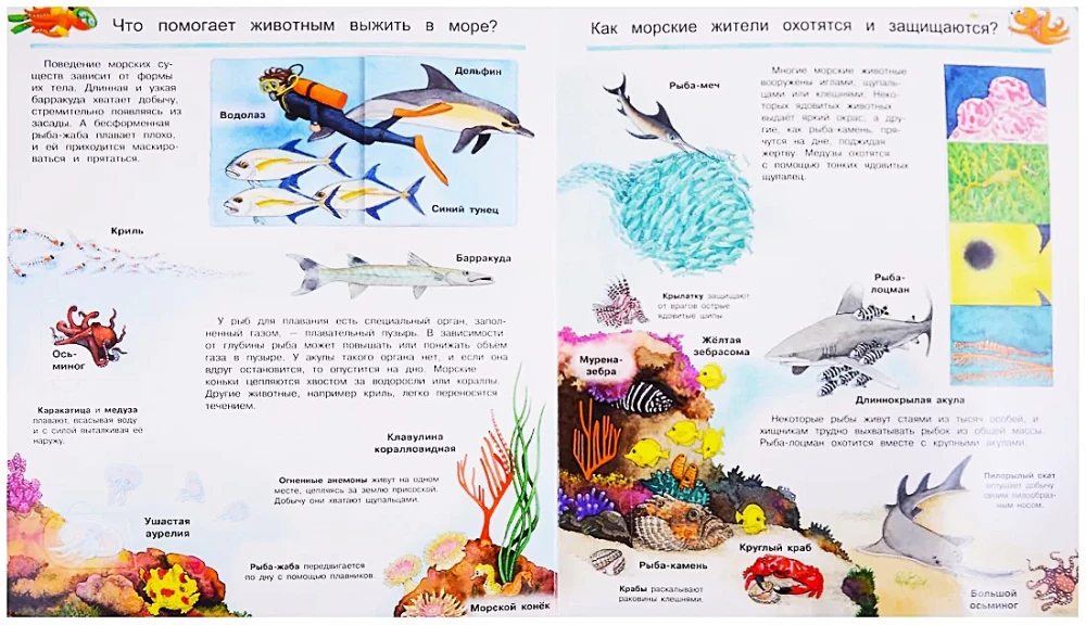 What? Why? How? The World of Marine Animals. With Magical Windows