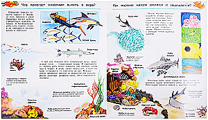What? Why? How? The World of Marine Animals. With Magical Windows