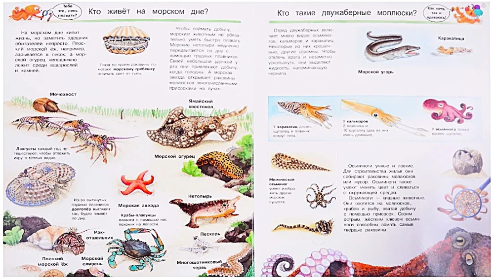 What? Why? How? The World of Marine Animals. With Magical Windows