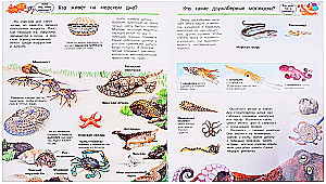What? Why? How? The World of Marine Animals. With Magical Windows