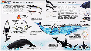 What? Why? How? The World of Marine Animals. With Magical Windows