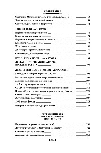 Russian Literature for Everyone. From Tolstoy to Brodsky