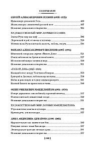 Russian Literature for Everyone. From Tolstoy to Brodsky