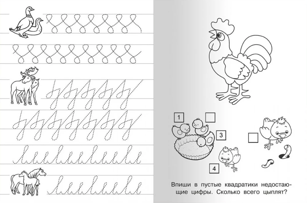 Workbooks with Exercises. Puppy