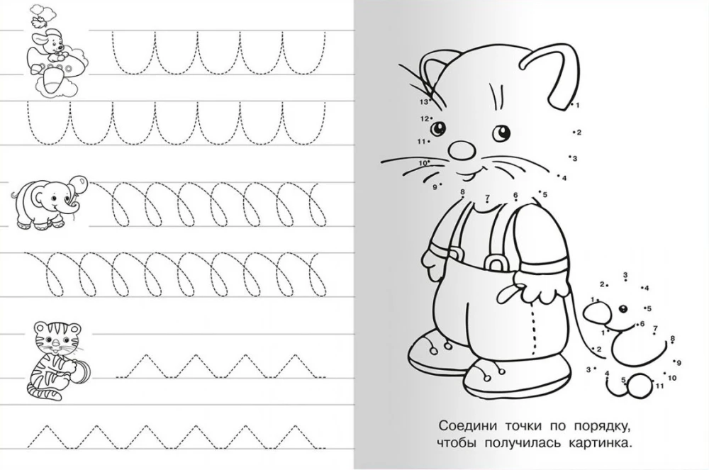Writing Practice with Exercises. Lion Cub