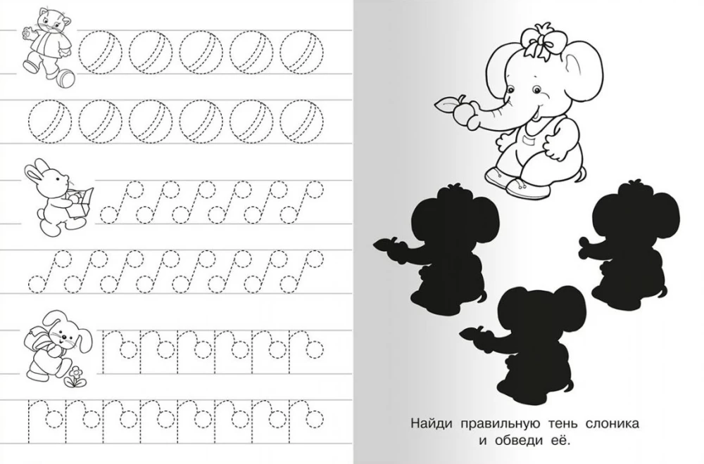 Writing Practice with Exercises. Lion Cub