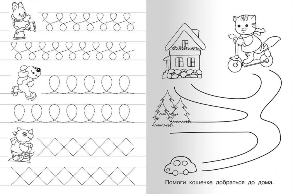 Writing Practice with Exercises. Lion Cub