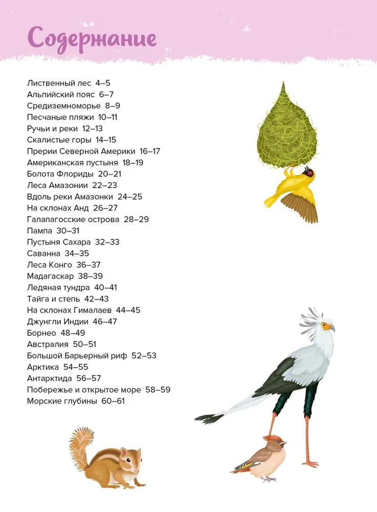 Zwierzęta. Mój pierwszy atlas w obrazkach