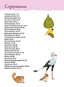 Zwierzęta. Mój pierwszy atlas w obrazkach