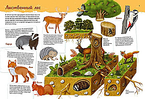 Zwierzęta. Mój pierwszy atlas w obrazkach