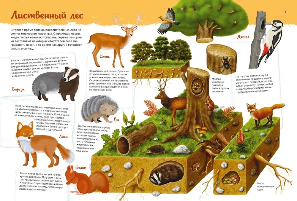 Animals. My First Picture Atlas