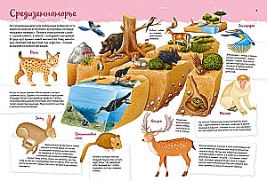 Animals. My First Picture Atlas