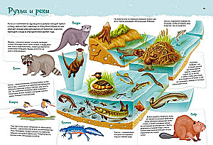 Animals. My First Picture Atlas