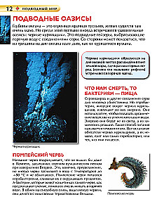 Underwater World. Children's Encyclopedia