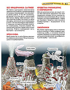Underwater World. Children's Encyclopedia