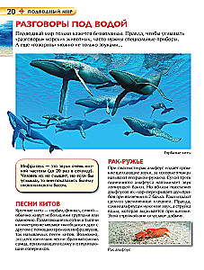 Underwater World. Children's Encyclopedia