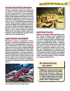 Underwater World. Children's Encyclopedia