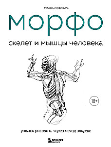 МОРФО. Скелет и мышцы человека. Анатомия для художников