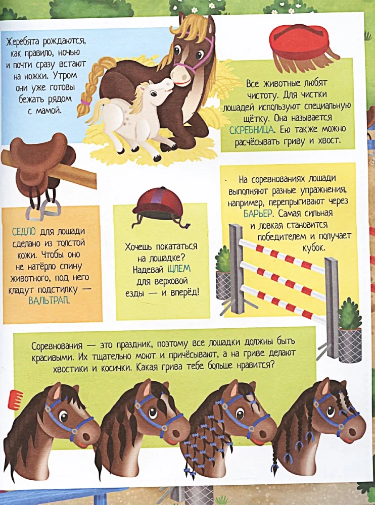 Gracjęzne koniki. 70 naklejek