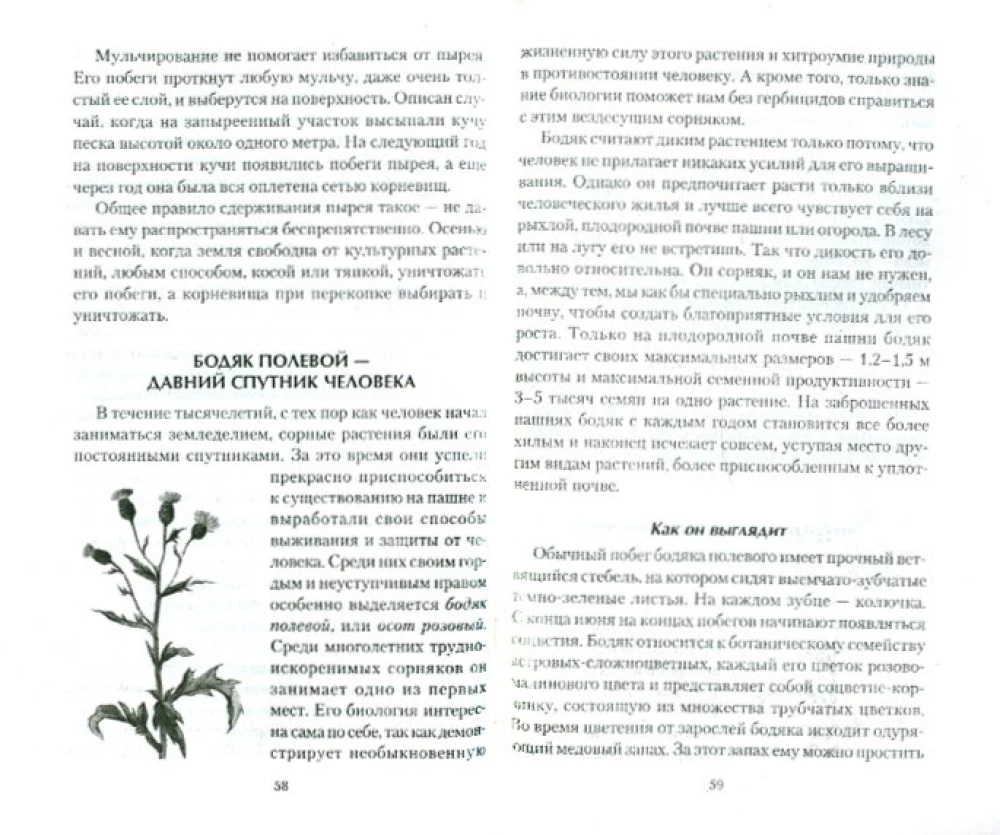 Chwasty w ogrodzie. Biologia, korzyści, kontrola
