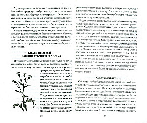 Chwasty w ogrodzie. Biologia, korzyści, kontrola