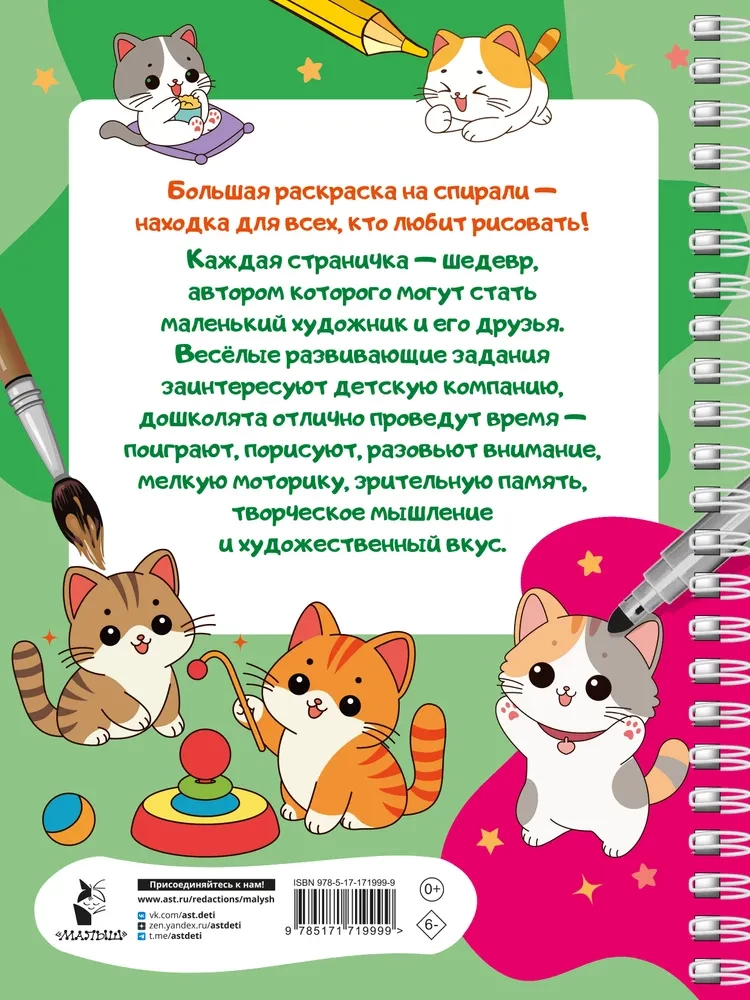 100 Cute Kittens. Big Coloring Book