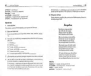 Poetry of Latin America of the 20th Century. A Reading Book in Spanish
