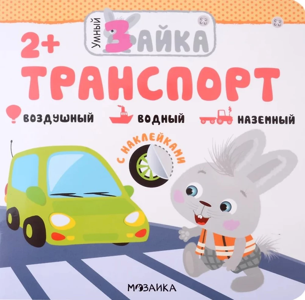 Smart Bunny. Transport