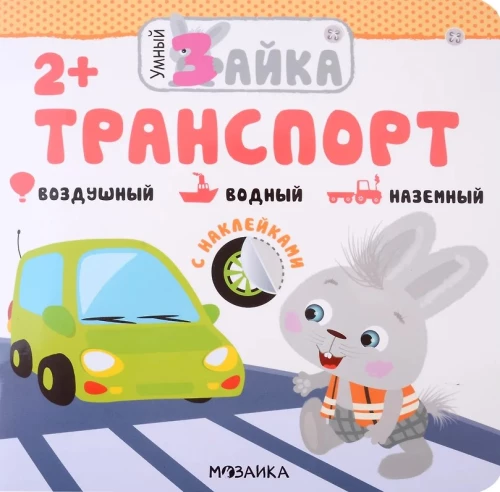 Smart Bunny. Transport