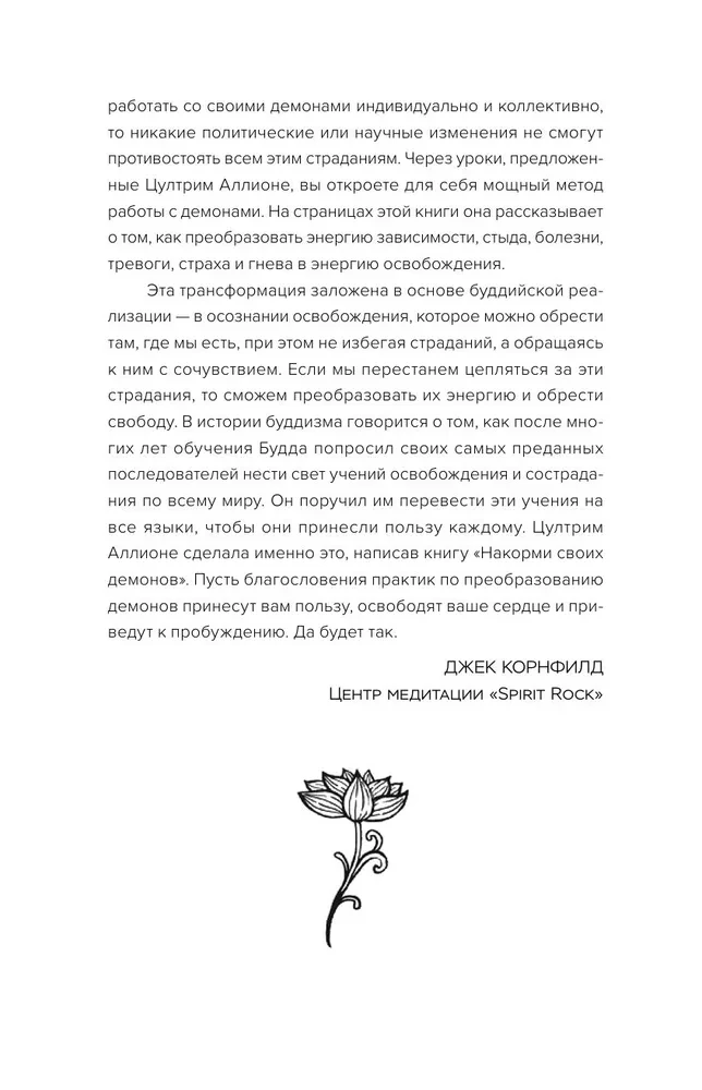Накорми своих демонов. Практика для разрешения внутренних конфликтов