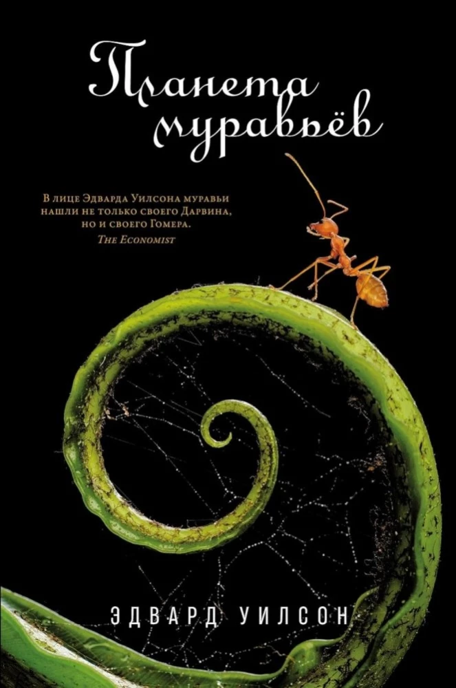 The Ant Planet