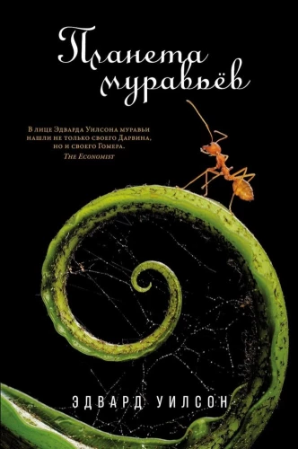 The Ant Planet
