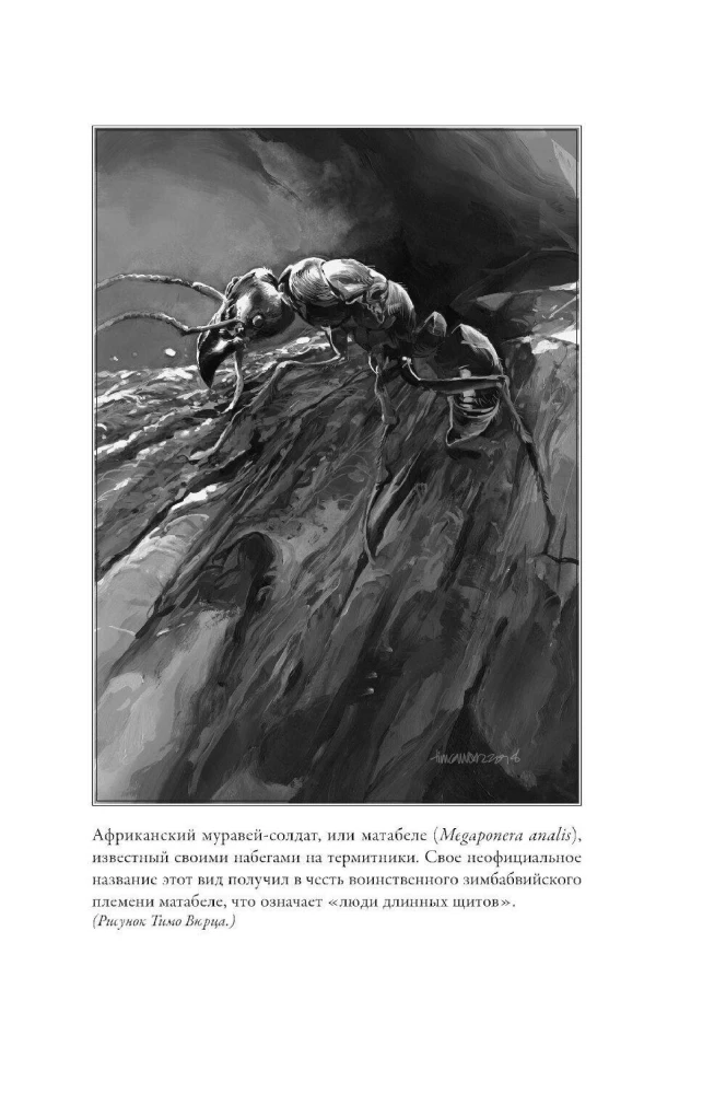The Ant Planet