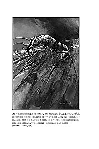 The Ant Planet