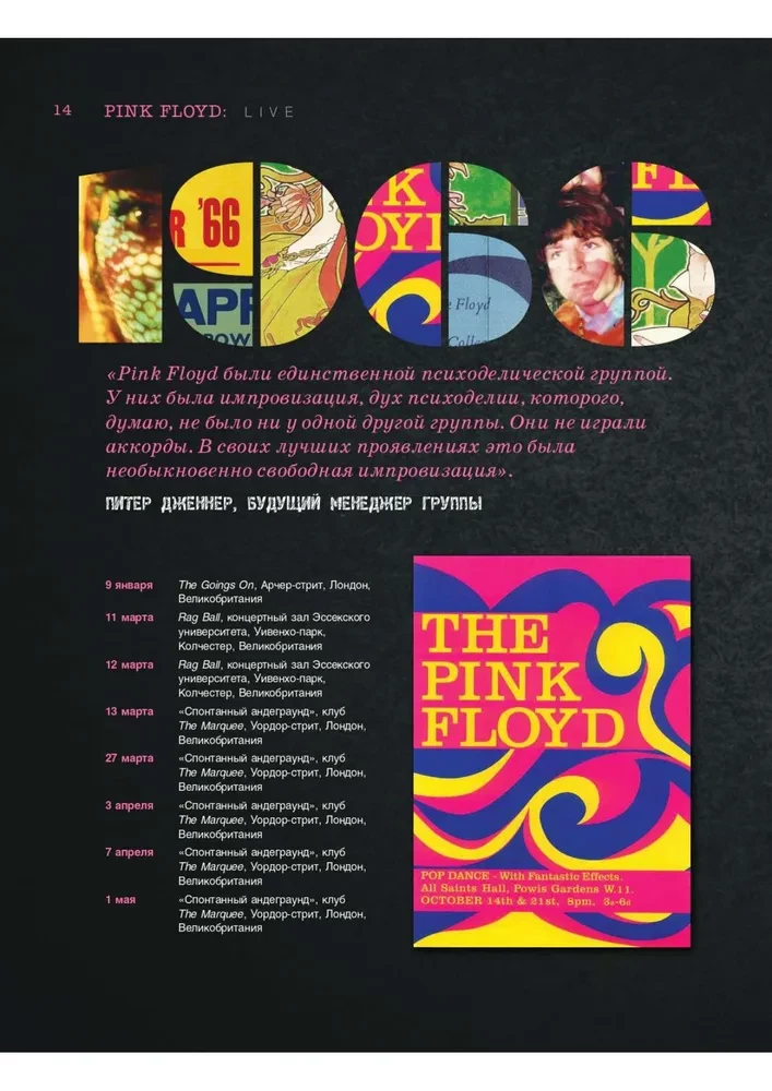 Pink Floyd Live. An Unauthorized Guide to the Greatest Concerts of the Pioneers of Prog-Rock