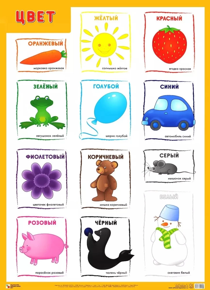 Educational Posters. Color