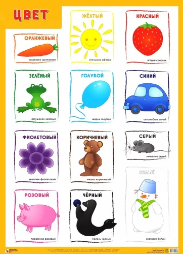 Educational Posters. Color