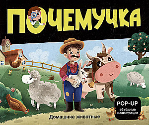 Why? Domestic Animals