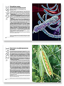 Great Biology. From the Origin of Life to Epigenetics. 250 Key Milestones in the History of Biology