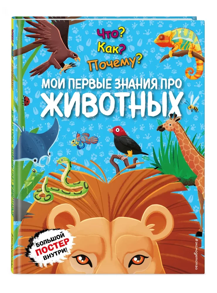 Co? Jak? Dlaczego? Moja pierwsza wiedza o ZWIERZĘTACH